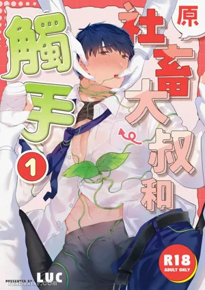 第1頁圖
