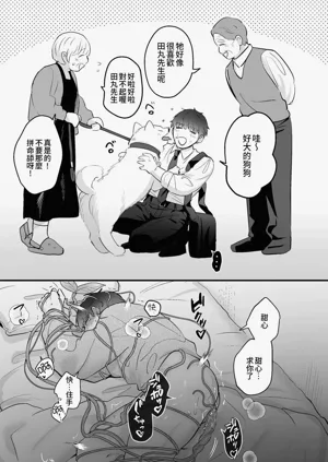 第181頁圖