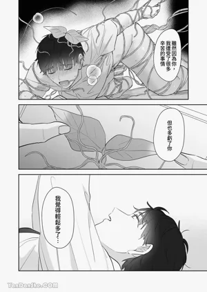 第35頁圖