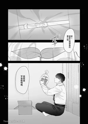 第81頁圖