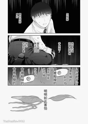 第89頁圖