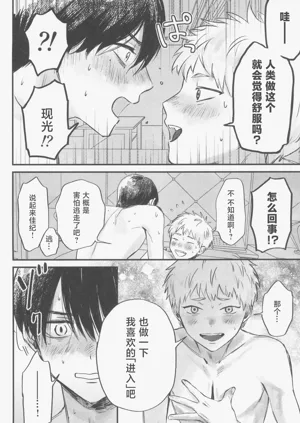 第41頁圖