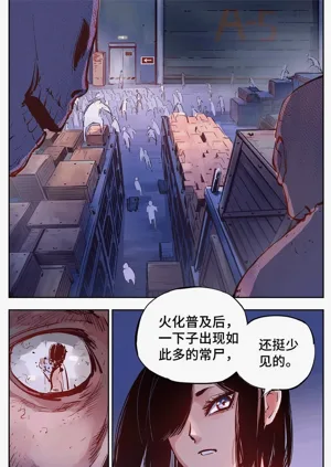 第528頁圖