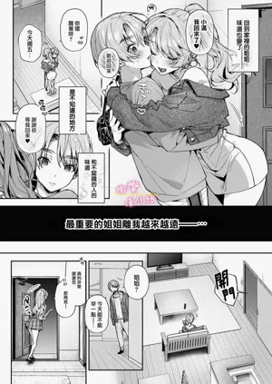 第334頁圖