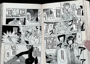 第68頁圖