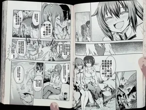 第29頁圖