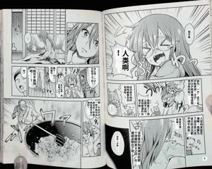 第46頁圖