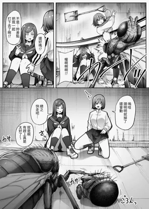 第14页图