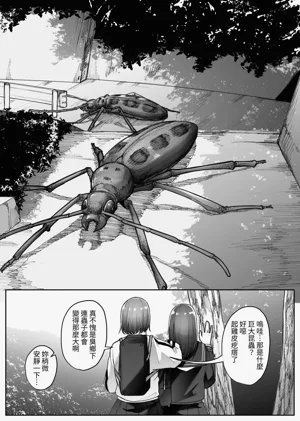 第7页图