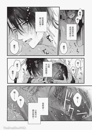 第133頁圖