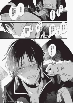 第28頁圖