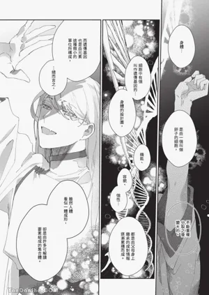 第138頁圖