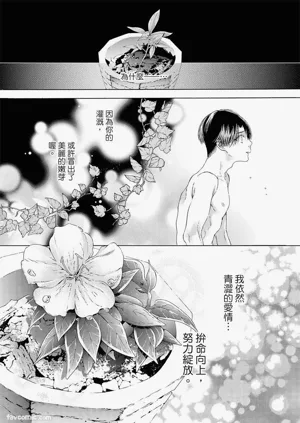 第176頁圖