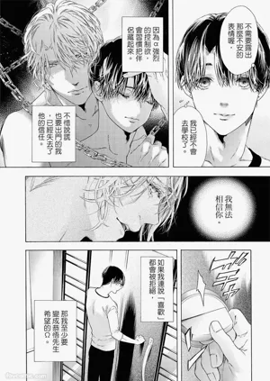 第181頁圖
