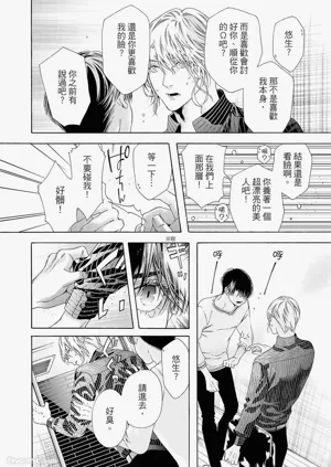第221頁圖