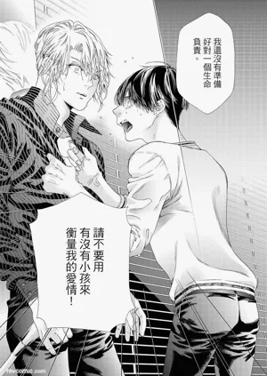 第224頁圖