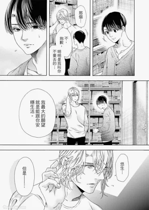 第254頁圖