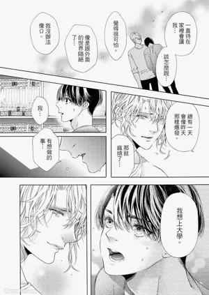第255頁圖