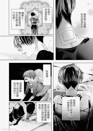 第49頁圖