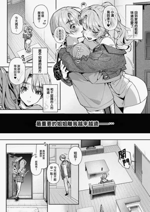 第311頁圖