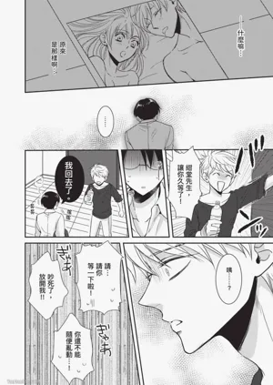第169頁圖