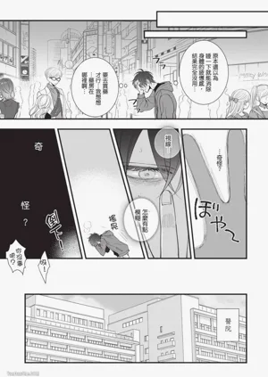 第95頁圖