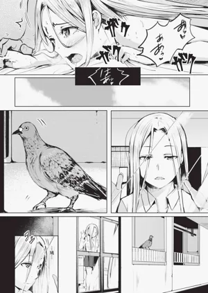 第208頁圖