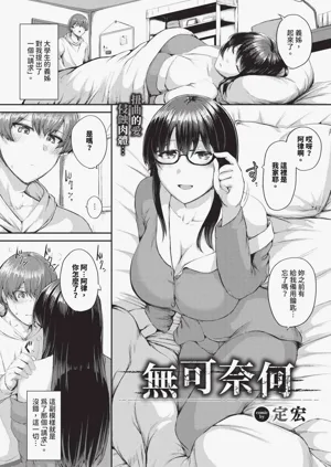 第519頁圖