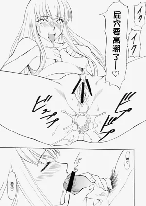 第14頁圖