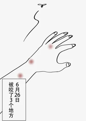 第81頁圖