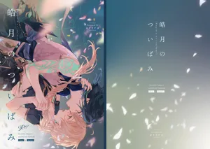 第46页图