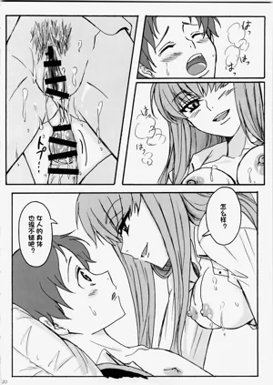 第19页图