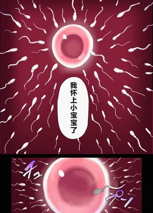 第215頁圖