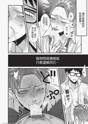 第41頁圖