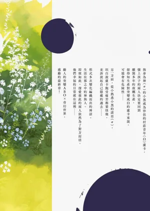 第243頁圖