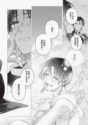 第31頁圖