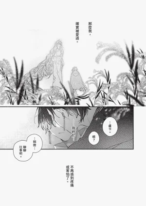 第38頁圖