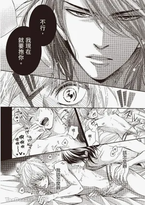 第103頁圖