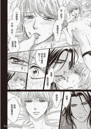 第81頁圖