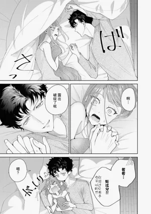 第481頁圖