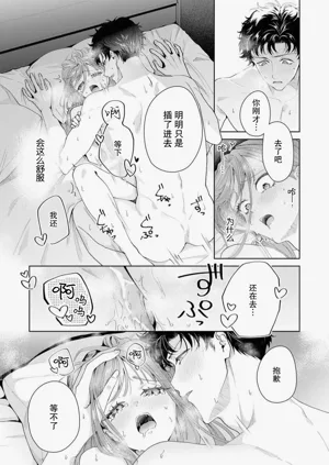 第495頁圖
