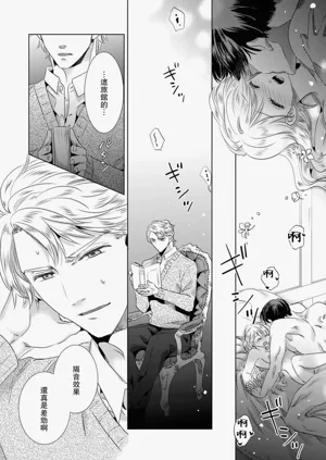 第242頁圖