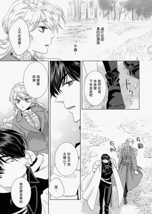 第249頁圖
