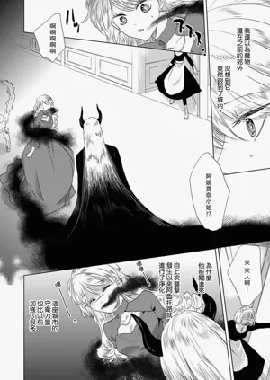 第290頁圖