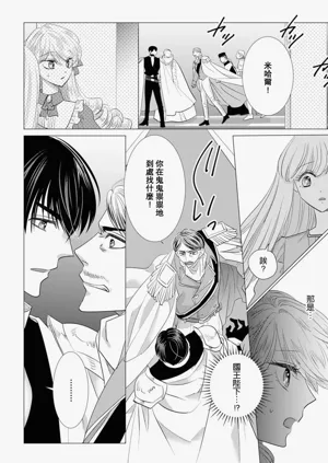 第496頁圖