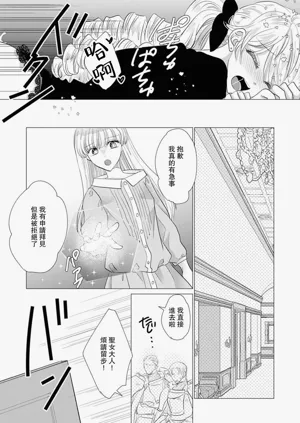 第513頁圖