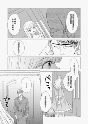 第519頁圖