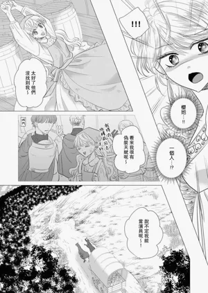 第524頁圖