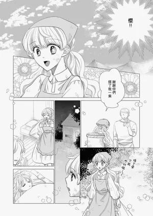 第528頁圖