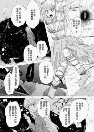 第541頁圖